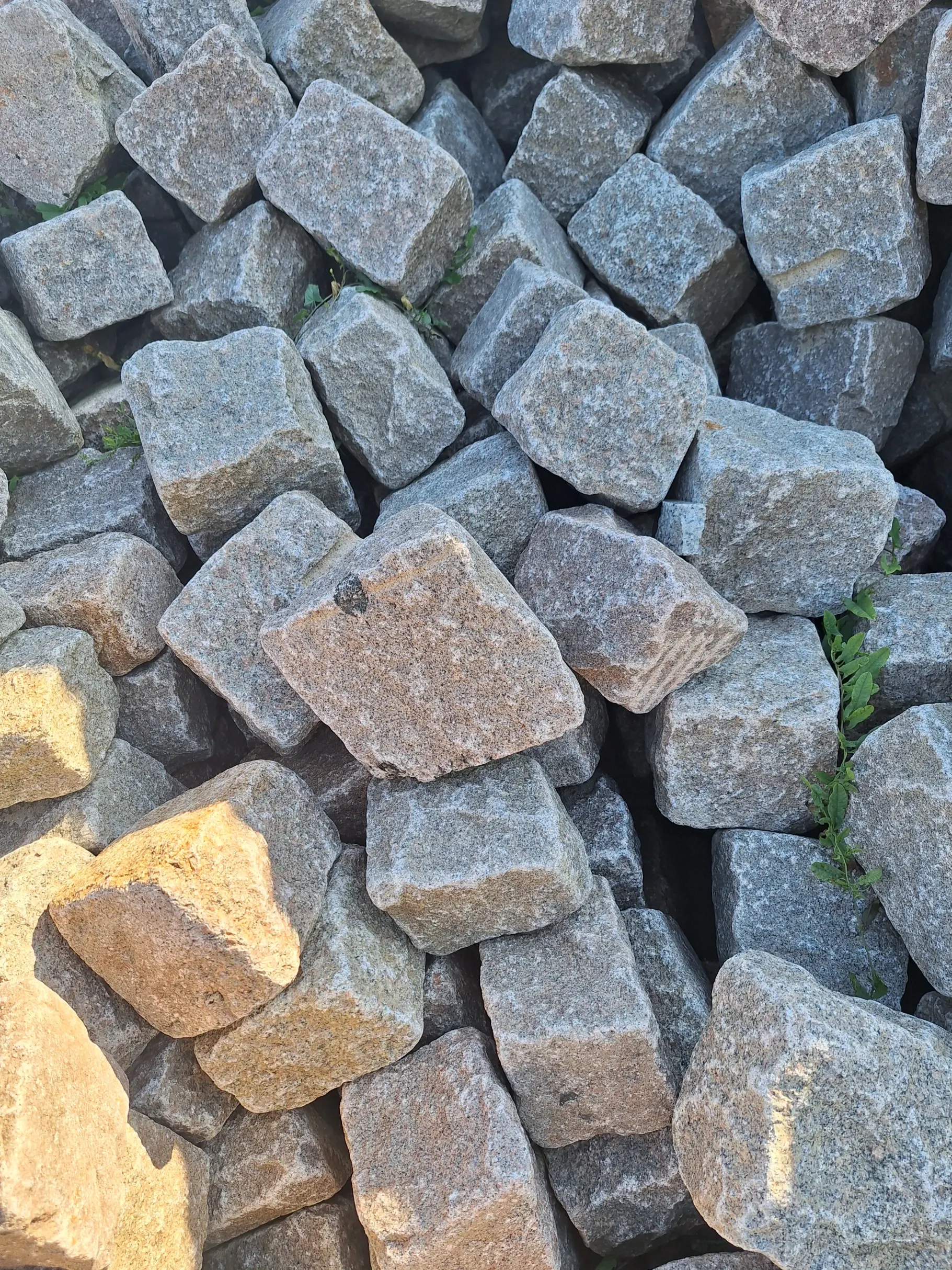 Stos kwadratowych szarych kostek granitowych o nieregularnej fakturze do układania nawierzchni Granitoidy