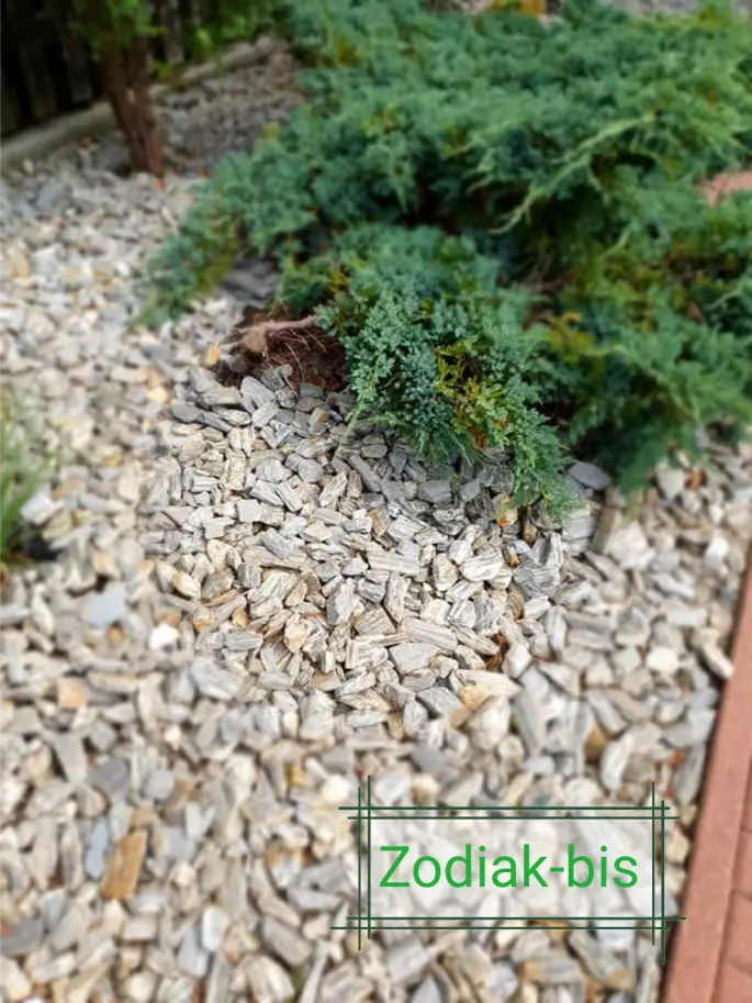 Kora kamienna gnejsowa