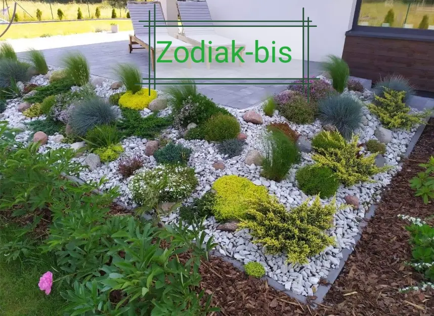 Kora kamienna srebrna-kwarcowa