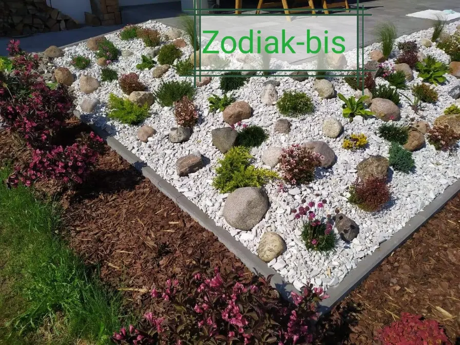 Kora kamienna srebrna-kwarcowa