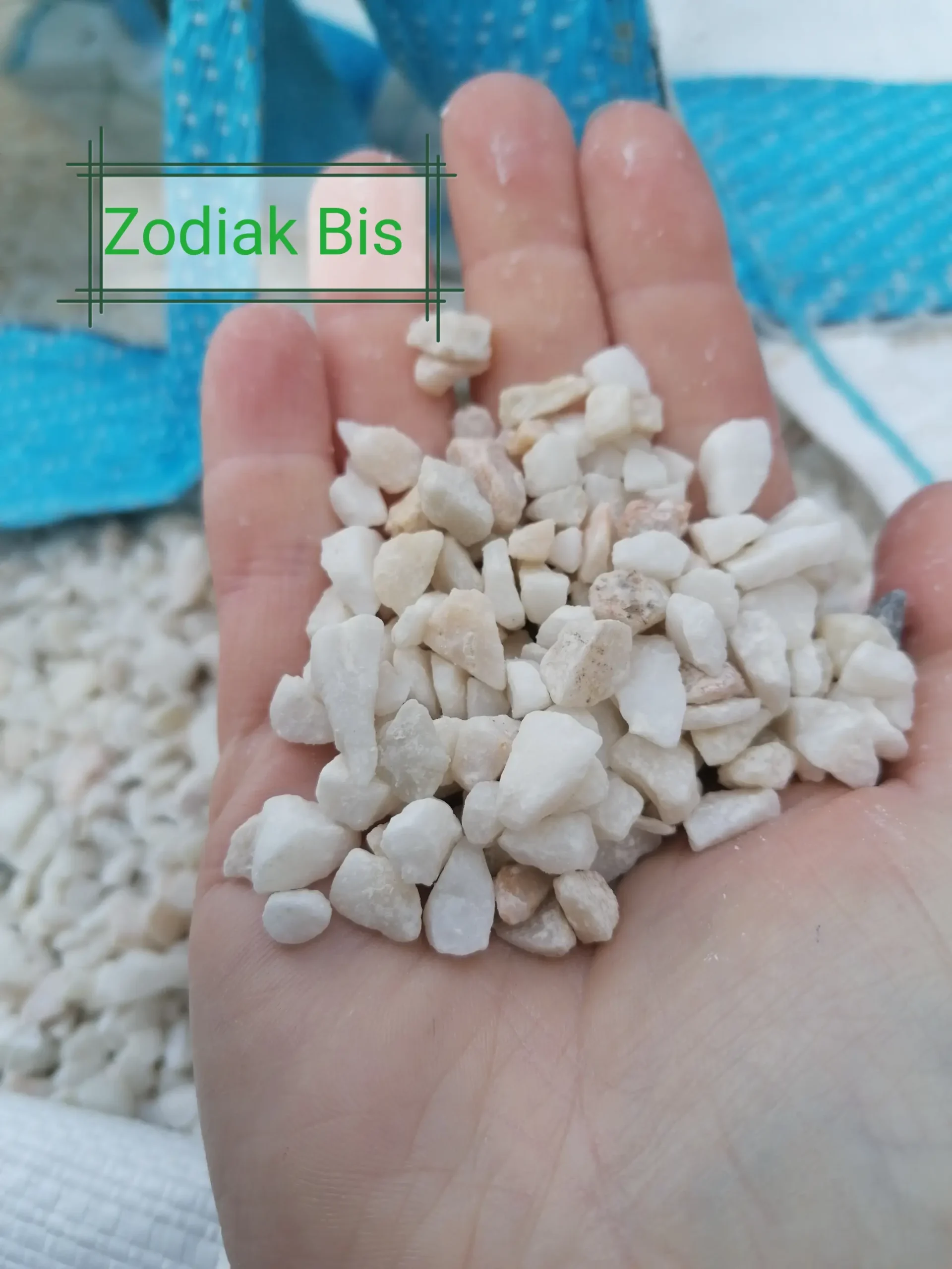 Grys biała marianna