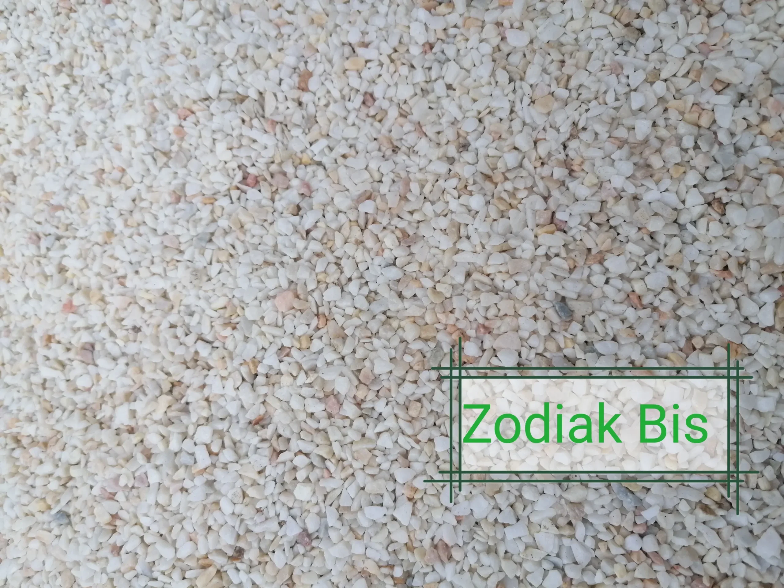 Grys biała marianna