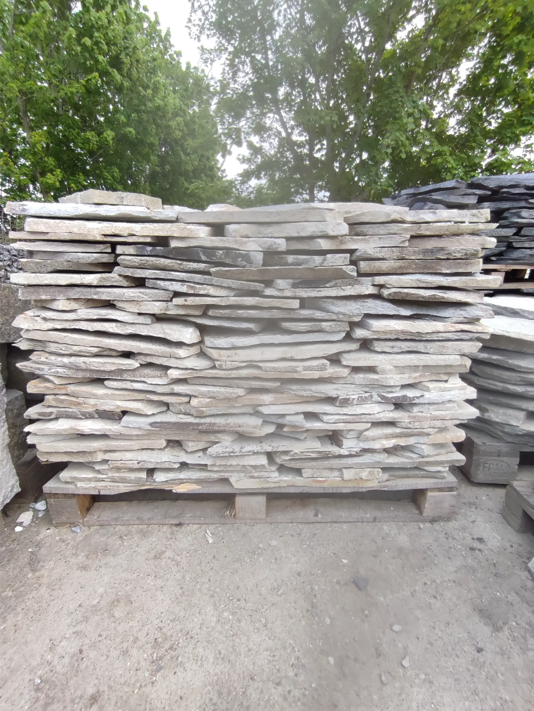 Łupek bługarski szary