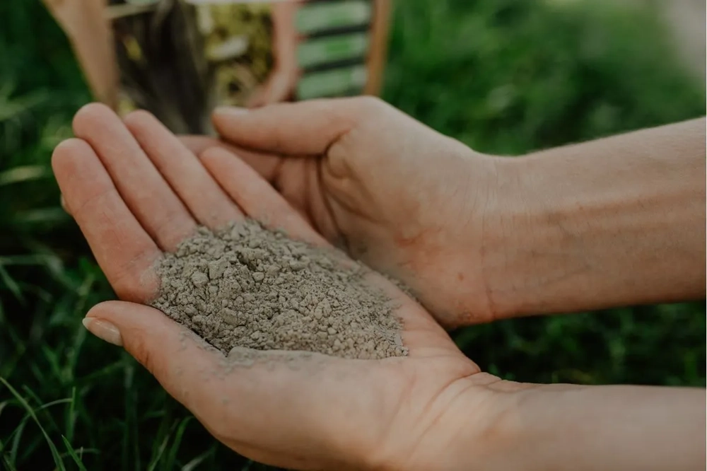 Dłonie trzymające szarą mączkę bazaltową na tle zielonej trawy